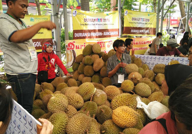 Hasil gambar untuk penjual durian di kota bogor