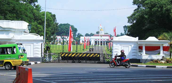 Sebulan Penuh Jokowi Berkantor di Istana Bogor