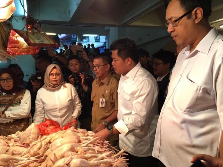 Video: Heboh Sidak Mafia Harga Ayam Potong di Bogor!!