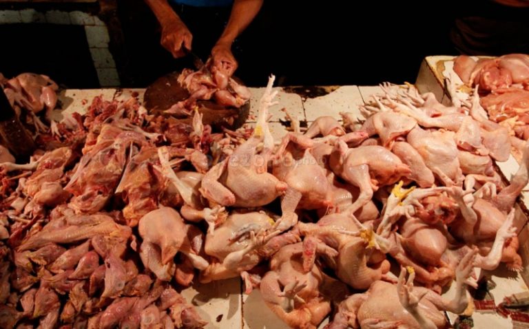 Harga Miring, Daging Ayam Penyakitan Beredaran di Pasaran