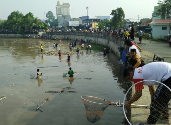 Banjir Kiriman Bogor, Warga Panen Ikan Mabok di Sungai Cisadane