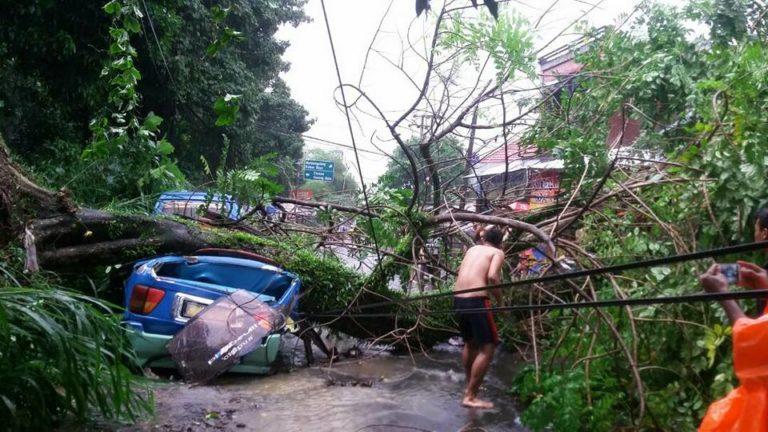 Angkot di Pancasan Ringsek Tertimpa Pohon Tumbang