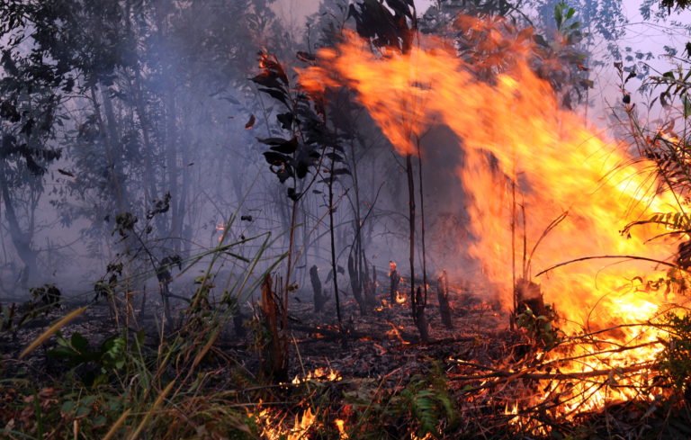 Kemarau Tiba, Tiga Kebakaran Melanda Bogor Sampai Makan Korban
