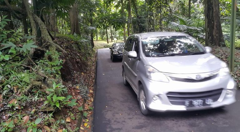 Warganet Protes Mobil Masuk Kebun Raya Bogor, Ini Kata Pak Wali