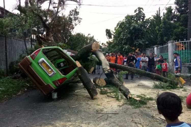 Hancur! Angkot Bogor Ditimpa Pohon Setinggi 12 Meter