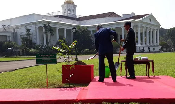 Jokowi Ajak Mahatir Tanam Pohon di Istana Bogor