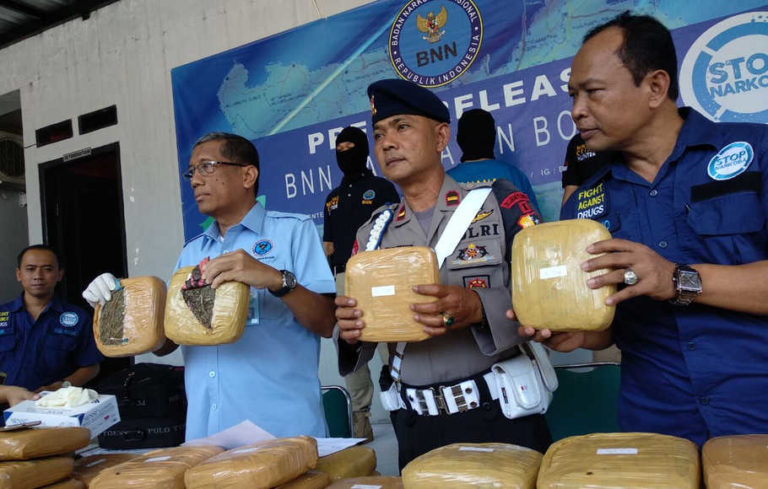 BNN Bogor Amankan 50 Kilogram Ganja dari Residivis