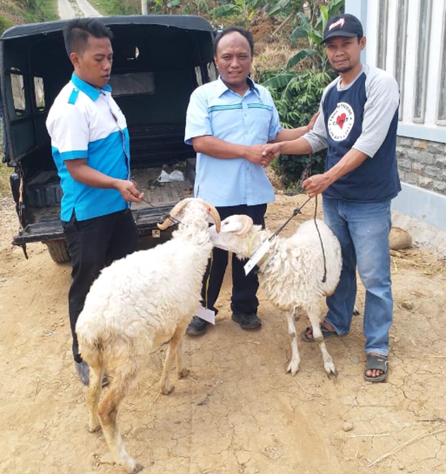 PDAM Tirta Pakuan Tebar 23 Ekor Kambing Kurban