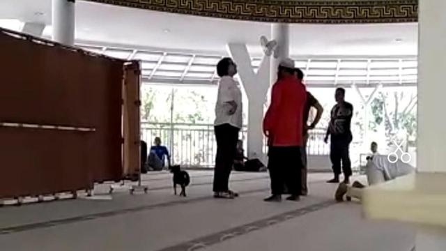 
 Hakim Nyatakan Perempuan Pembawa Anjing ke Masjid Sehat Wal Afiat