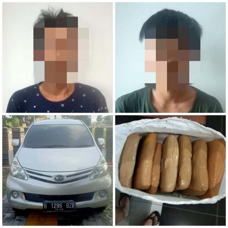 Dor.. Pemilik Dua Karung Ganja di Ciseeng Bogor Ditembak