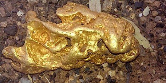 Pemburu Harta Karun Berhasil Temukan Bongkahan Emas