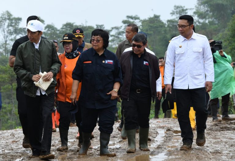 Jokowi Siapkan Duit Rp1,9Triliun untuk Penghijauan