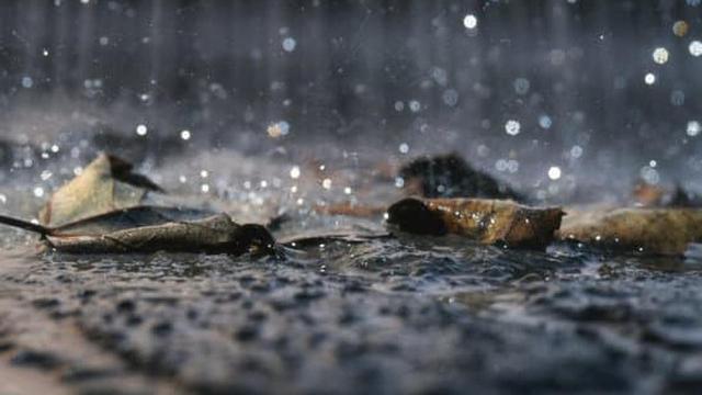 Ramalan Cuaca Jabodetabek: Hujan Ringan Merata Seharian