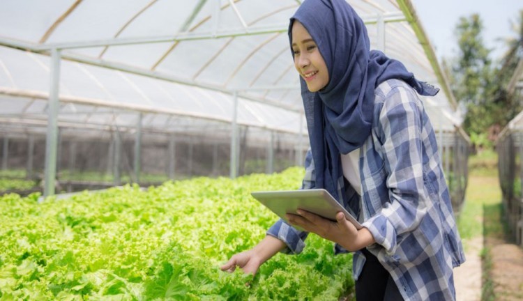 5 Bisnis Sektor Pertanian yang Menguntungkan Milenial, Yuk Baca!
