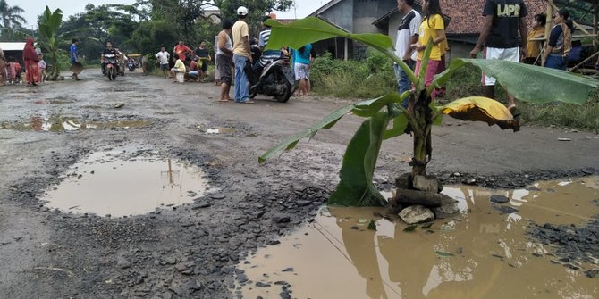 Kesal tak Digubris, Warga Rumpin Buang Ikan Lele di Jalan Rusak