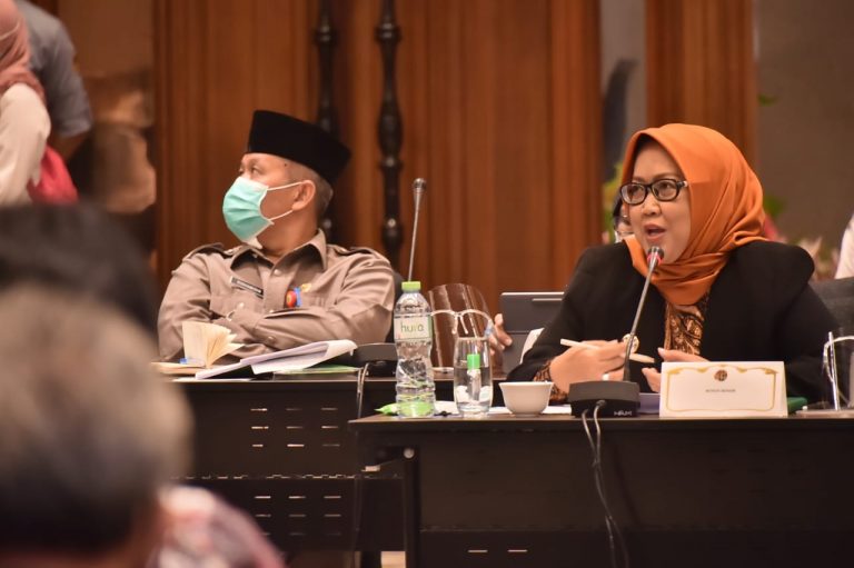 Bupati Ade Yasin Minta Pengelolaan Setu Dialihkan ke Daerah