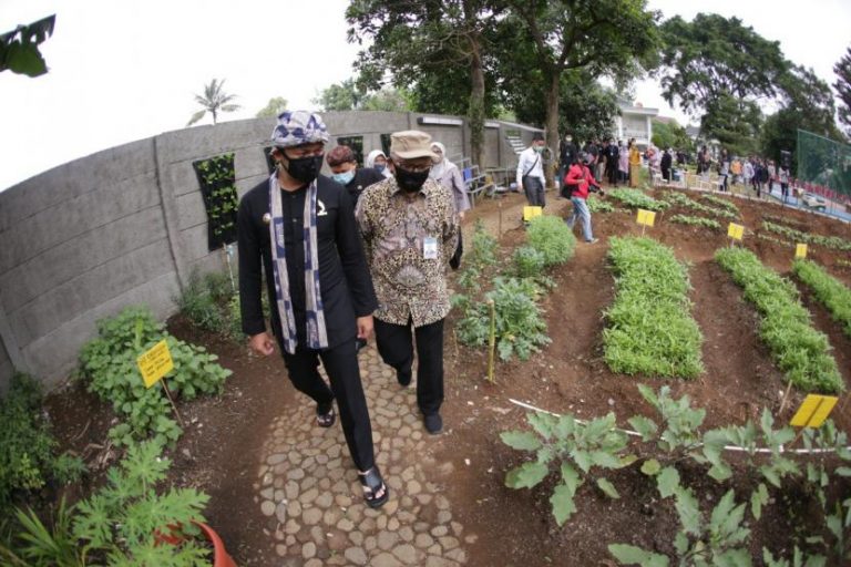 Kota Bogor jadi Pilot Project Percontohan Urban Farming