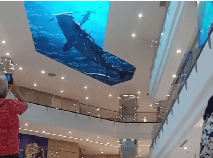 Menakjubkan! Viral Ikan Hiu di dalam Mall. Cek Videonya..