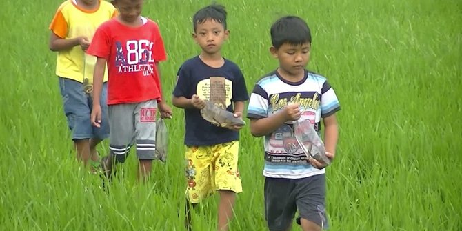Kemendagri Mencatat, Anak-anak di 9 Provinsi Ini Banyak Tak Kantongi Akta Kelahiran