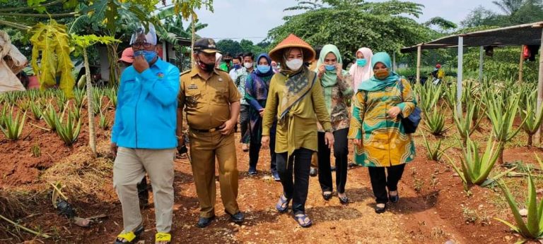 Elly Yasin “Bakar” Semangat Para Petani dan UMKM Kabupaten Bogor Selama Pandemi