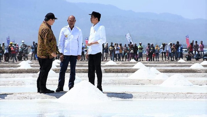 Jokowi Jengkel Tiap tahun RI Impor Garam