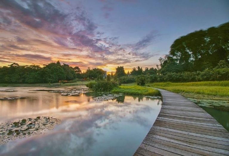 Piknik Murah Meriah, Danau Dora Kini Lebih Instagramable