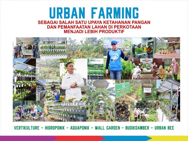 Mengembangkan Urban Farming dengan Bogor Berkebun
