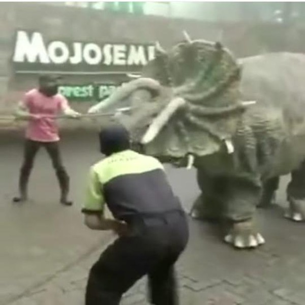 Heboh Video Dinosaurus Ngamuk di Magetan