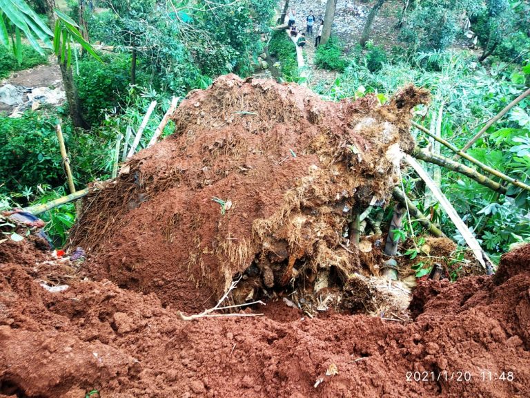 Waduh, Longsor Seret Rumpun Bambu, Berpotensi Sebabkan Banjir di Cibuluh Bogor