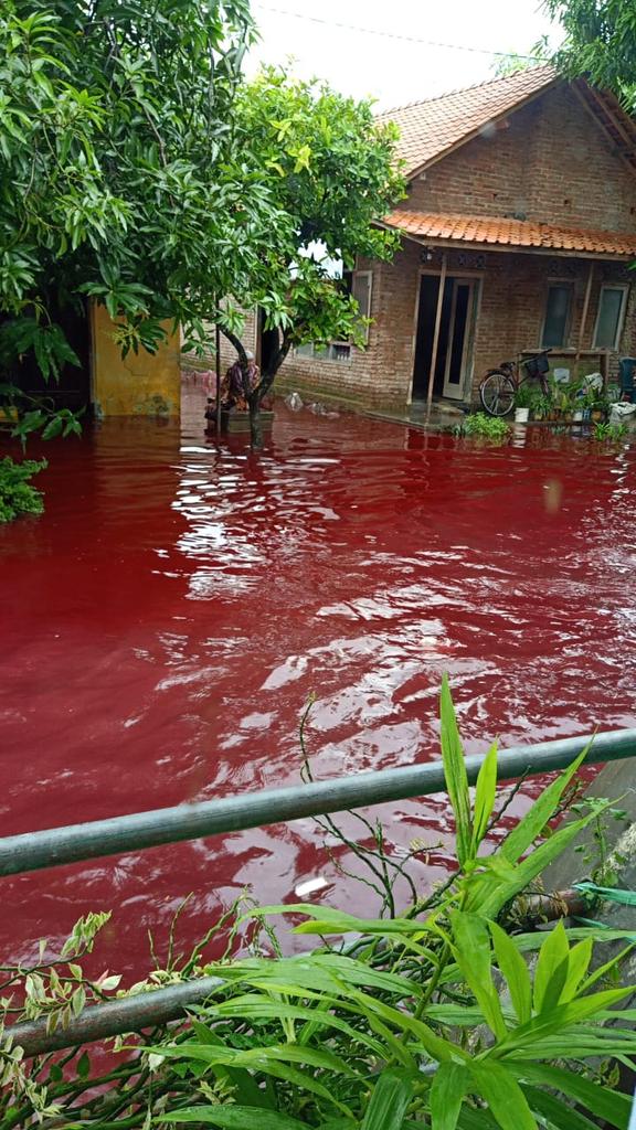 Banjir di Pekalongan Berwarna Merah, Netizen : Kirain Banjir Darah