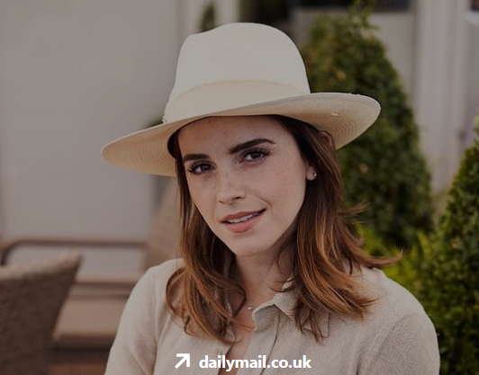 Aktris Emma Watson Pemeran Hermione Granger Film Harry Potter, Pensiun