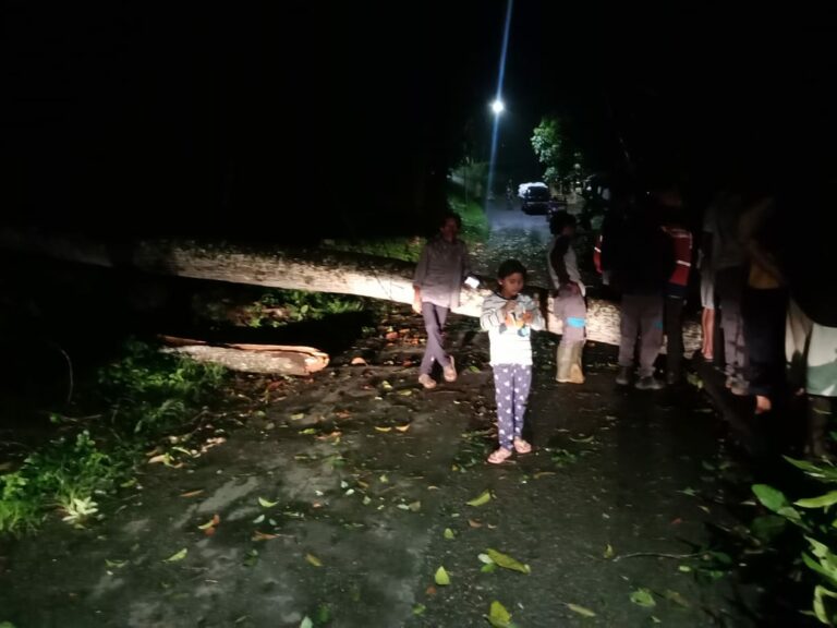 Akses Jalan Kampung Lukut Nanggung Tertutup Pohon Tumbang