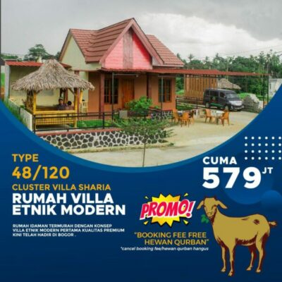Big promo