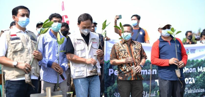 KIIC Tanam 1.000 Pohon Bakau di Pantai Muarabaru