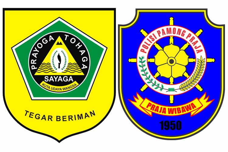 Publikasi Kinerja Satpol PP Kabupaten Bogor