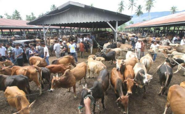 
 Hewan ternak kerbau dan kambing yang banyak diperjualbelikan menjelang Hari Raya Idul Adha. (Istimewa/Bogordaily.net)