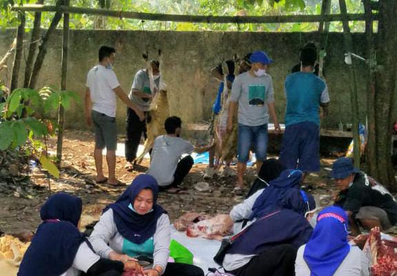 
 Pemotongan hewan Kurban oleh DKM Masjid Al Qodim, Desa Beteng Ciampea Bogor. (istimewa/Bogordaily.net)