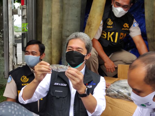 Masyarakat Terdampak Covid-19 di Kota Bogor akan Terima Bantuan Ikan Kembung