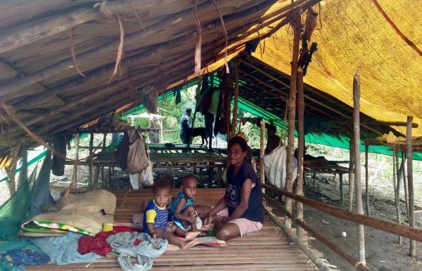 Komersialisasi Hasil Hutan Mengancam Keberlangsungan Hidup Suku Malind