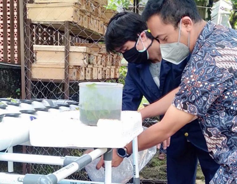 Aquaponik Mahasiswa IPB Tambah Koleksi Kebun KWT Kenanga Babakan