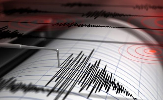 
 Rangkaian gempa bumi terjadi di wilayah barat daya di Kabupaten Gunungkidul. Badan Meteorologi, Klimatologi dan Geofisika (BMKG) mencatat, setidaknya terjadi 17 gempa bumi dengan magnitudo di bawah 5.0 (Istimewa/Bogordaily.net)