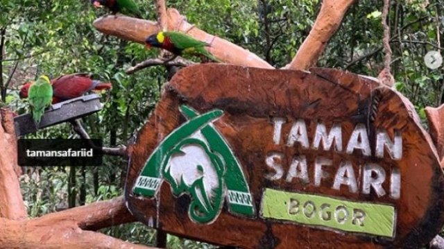 Ade Yasin Izinkan Taman Safari Indonesia Beroperasi