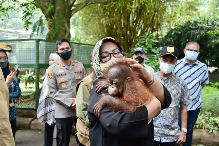 Kalangan Swasta