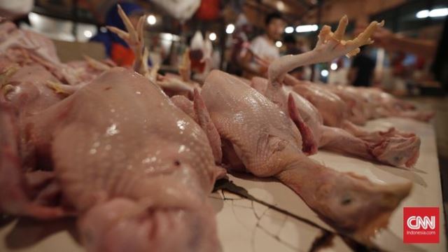 Naik Terus, Harga Daging Ayam Tembus Rp57.500 per Kg