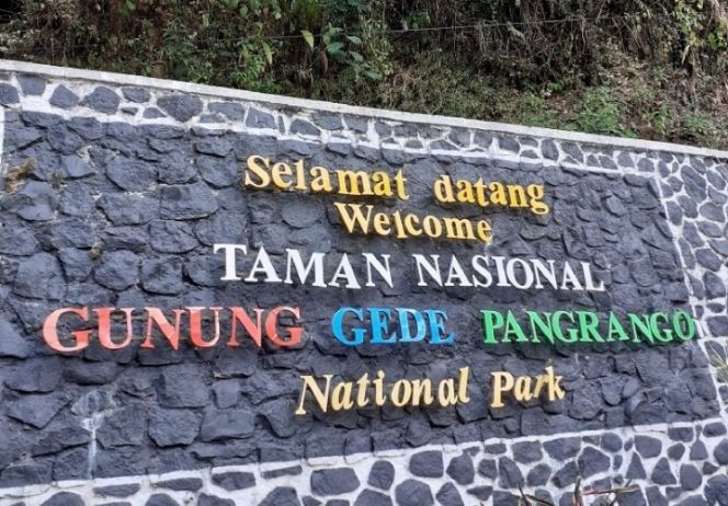 
 TNGGP secara resmi membuka kembali seluruh jalur pendakian, Rabu (2 September 2021).(Istimewa/Bogordaily.net)