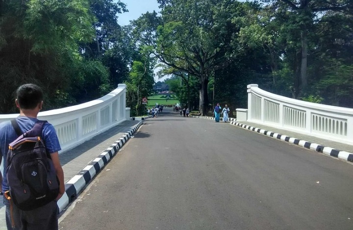 Instragramable, Jembatan yang Membentang di Atas Sungai Ciliwung Kebun Raya Bogor