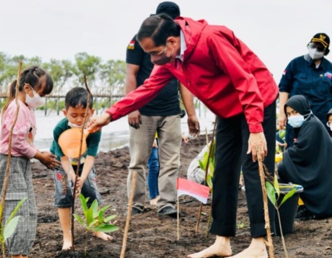 Jokowi: Rehabilitasi Mangrove Diperlukan karena Dapat Menyimpan Karbon