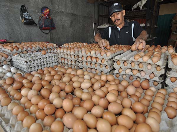 Meroket, Harga Telur Ayam Tembus Capai Rp 30.000/Kg!