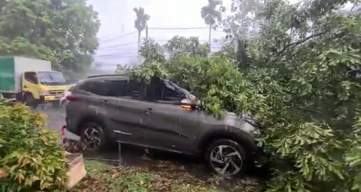 Kota Bogor Diterpa Hujan Angin, Satu Mobil Ringsek Terkena Pohon Tumbang