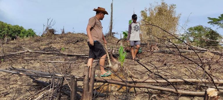 Selamatkan Hutan, Plt. Camat Lumbis Pansiangan Ajak Masyarakat Menanam Pohon